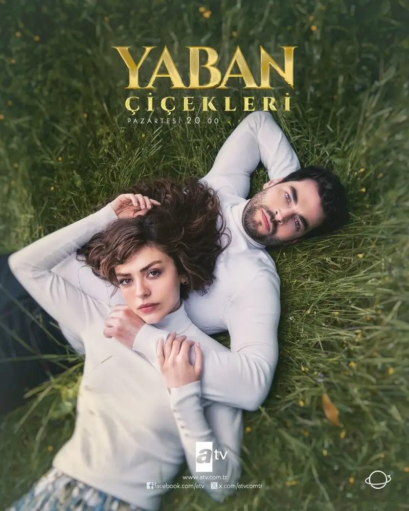 Постер сериала Дикие цветы (сериал 2024)