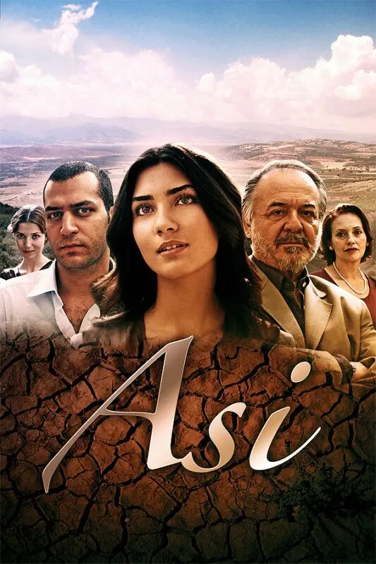 Постер сериала Аси (сериал 2007 – 2009)