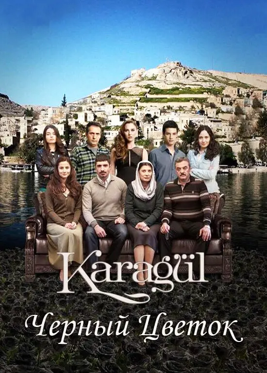 Постер сериала Чёрный цветок