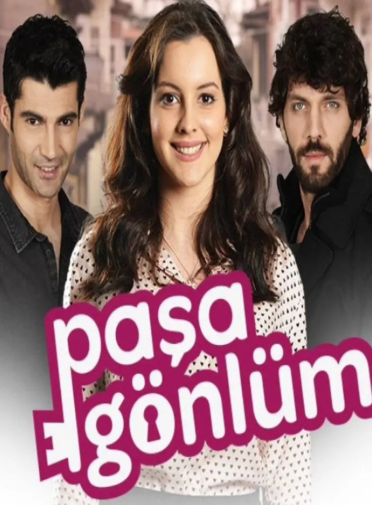 Постер сериала Слуга моего сердца