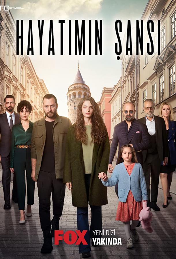 Постер сериала Шанс моей жизни